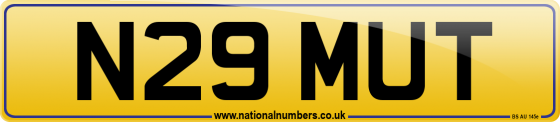 N29 MUT