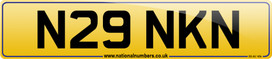 N29 NKN