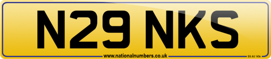 N29 NKS