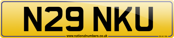 N29 NKU