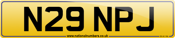 N29 NPJ