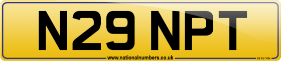 N29 NPT