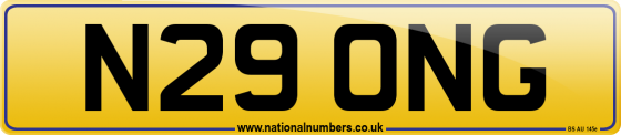 N29 ONG