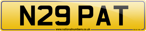 N29 PAT