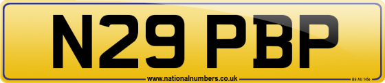 N29 PBP