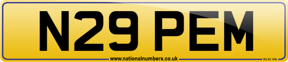 N29 PEM