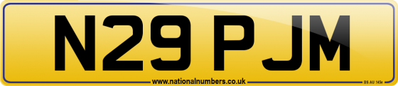 N29 PJM