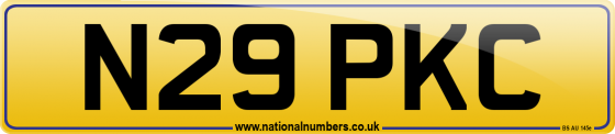 N29 PKC