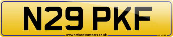 N29 PKF