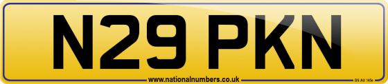 N29 PKN