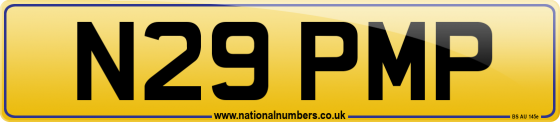 N29 PMP