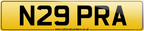 N29 PRA