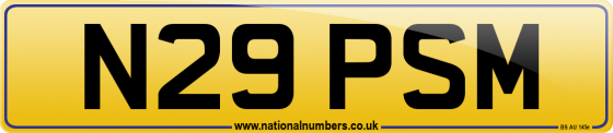 N29 PSM