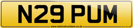 N29 PUM