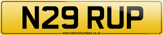 N29 RUP