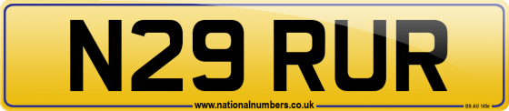 N29 RUR