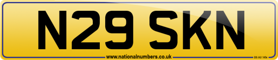 N29 SKN