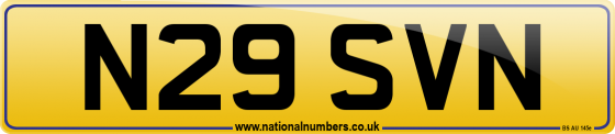 N29 SVN
