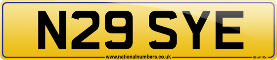 N29 SYE