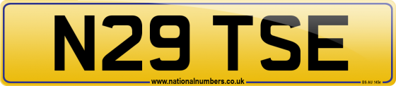N29 TSE