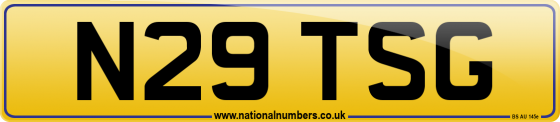 N29 TSG