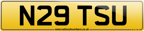 N29 TSU