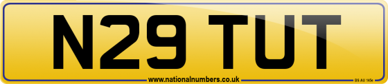 N29 TUT