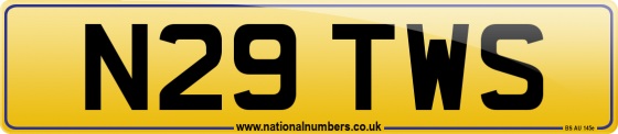 N29 TWS