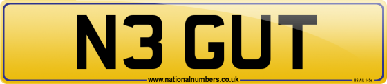 N3 GUT