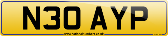 N30 AYP