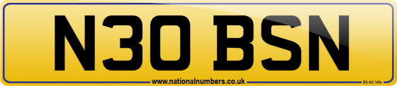 N30 BSN