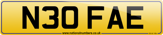 N30 FAE