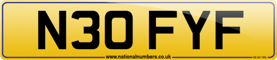 N30 FYF