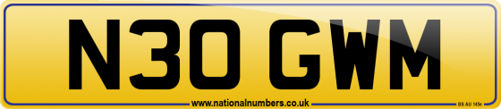 N30 GWM