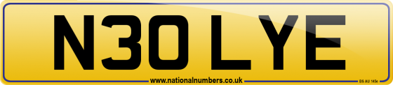 N30 LYE