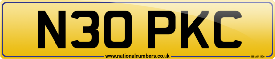 N30 PKC