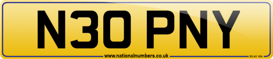 N30 PNY