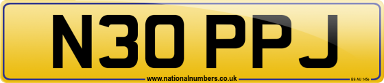 N30 PPJ