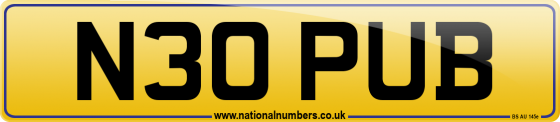 N30 PUB