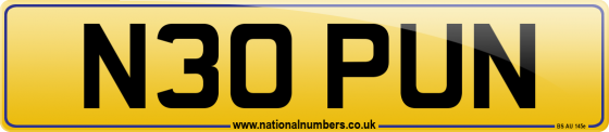 N30 PUN