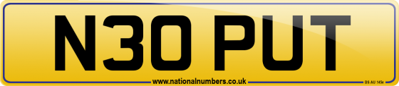 N30 PUT