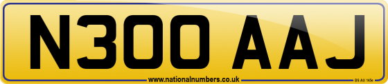 N300 AAJ
