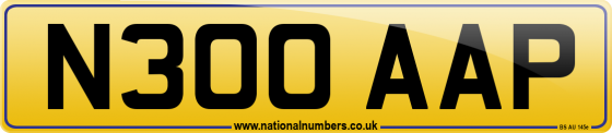 N300 AAP