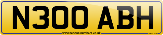 N300 ABH