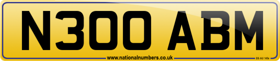 N300 ABM