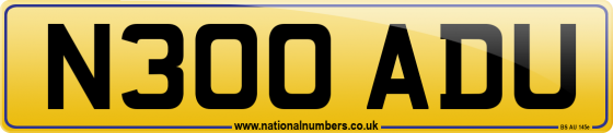 N300 ADU