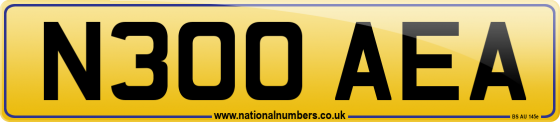 N300 AEA