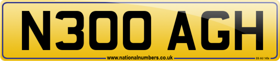 N300 AGH