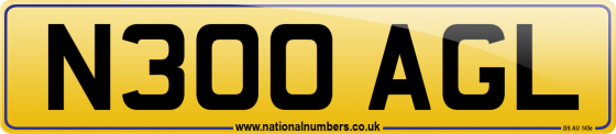 N300 AGL