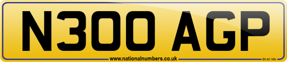 N300 AGP